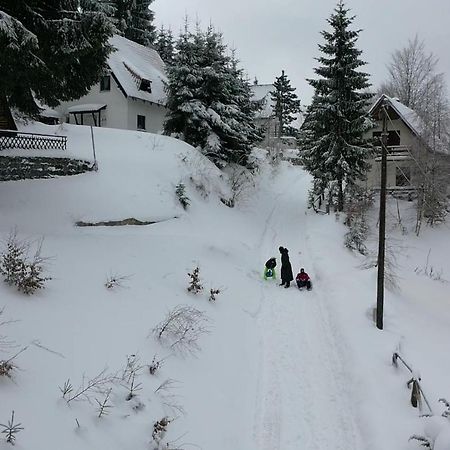 Vila Leni Копаоник Екстериор снимка